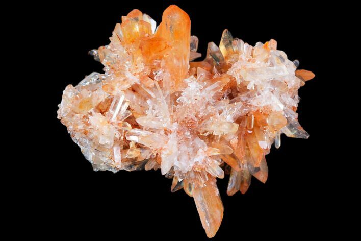 Orange Creedite Crystal Cluster - Durango, Mexico #79369